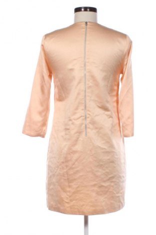Šaty  Topshop, Veľkosť M, Farba Viacfarebná, Cena  25,17 €