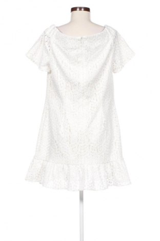 Kleid Wayne Cooper, Größe L, Farbe Mehrfarbig, Preis 42,00 €