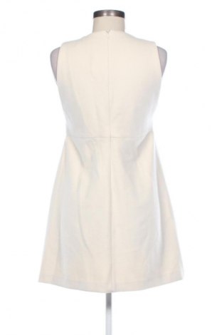 Kleid Zara, Größe M, Farbe Ecru, Preis 13,70 €