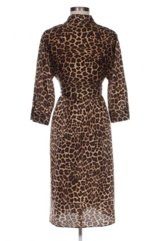 Kleid Zara, Größe M, Farbe Mehrfarbig, Preis 17,80 €