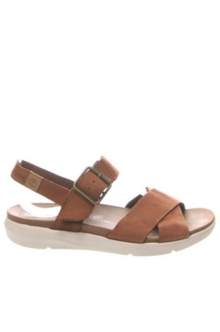 Sandały Timberland, Rozmiar 38, Kolor Brązowy, Cena 389,19 zł