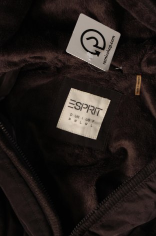 Дамско яке Esprit, Размер M, Цвят Кафяв, Цена 75,00 лв.
