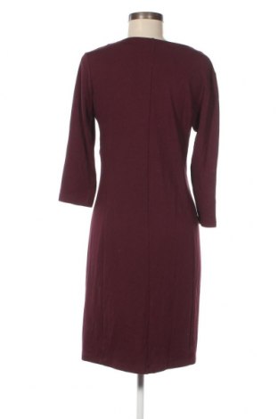 Kleid Gant, Größe L, Farbe Lila, Preis € 16,22