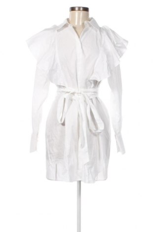 Kleid Ted Baker, Größe M, Farbe Weiß, Preis € 211,34
