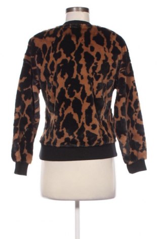Γυναικεία μπλούζα Amisu, Μέγεθος XXS, Χρώμα Πολύχρωμο, Τιμή 3,76 €