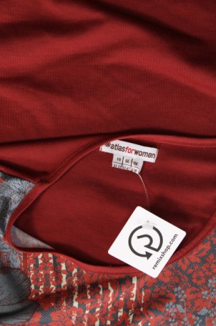 Γυναικεία μπλούζα Atlas For Women, Μέγεθος XL, Χρώμα Πολύχρωμο, Τιμή 5,70 €