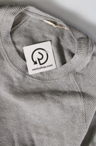 Damen Shirt Basic Apparel, Größe XS, Farbe Grau, Preis 3,97 €