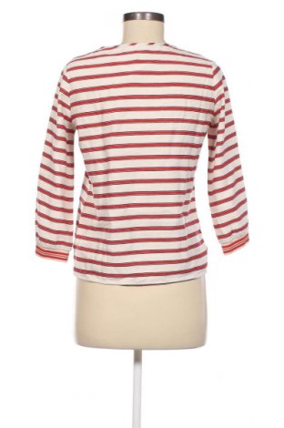 Γυναικεία μπλούζα Bellerose, Μέγεθος M, Χρώμα Πολύχρωμο, Τιμή 28,00 €