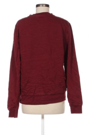 Damen Shirt Calvin Klein, Größe L, Farbe Rot, Preis € 24,77