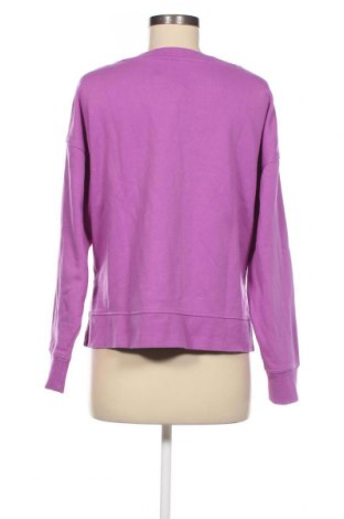Γυναικεία μπλούζα Calvin Klein, Μέγεθος M, Χρώμα Βιολετί, Τιμή 33,30 €