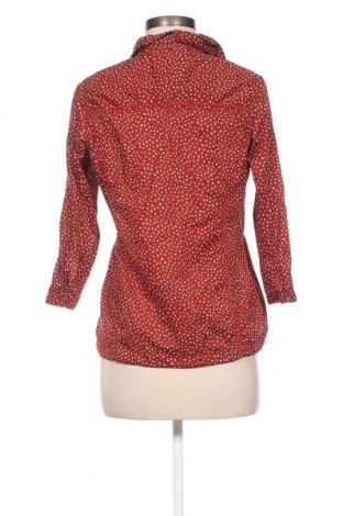 Damen Shirt Cecil, Größe S, Farbe Orange, Preis € 10,64