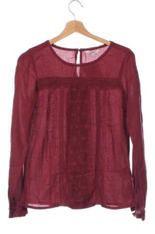 Damen Shirt Clockhouse, Größe XS, Farbe Rot, Preis € 5,29