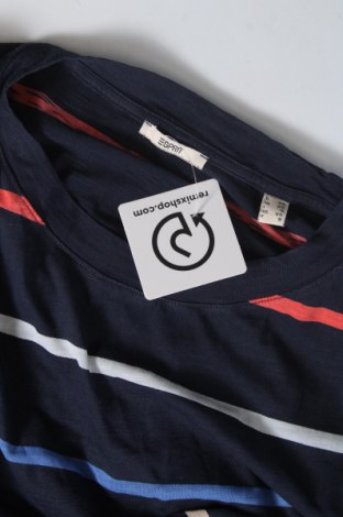 Damen Shirt Esprit, Größe XS, Farbe Blau, Preis 6,96 €