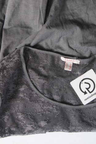 Damen Shirt Esprit, Größe XL, Farbe Grau, Preis € 10,20