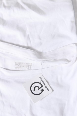 Damen Shirt Esprit, Größe S, Farbe Weiß, Preis 10,20 €