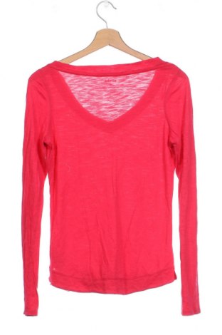 Γυναικεία μπλούζα Express, Μέγεθος XS, Χρώμα Ρόζ , Τιμή 10,43 €