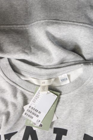 Damen Shirt H&M, Größe M, Farbe Grau, Preis € 8,08