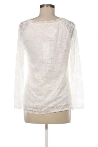 Γυναικεία μπλούζα Haily`s, Μέγεθος L, Χρώμα Λευκό, Τιμή 9,92 €