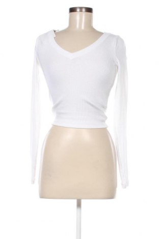 Γυναικεία μπλούζα Hollister, Μέγεθος S, Χρώμα Λευκό, Τιμή 13,89 €