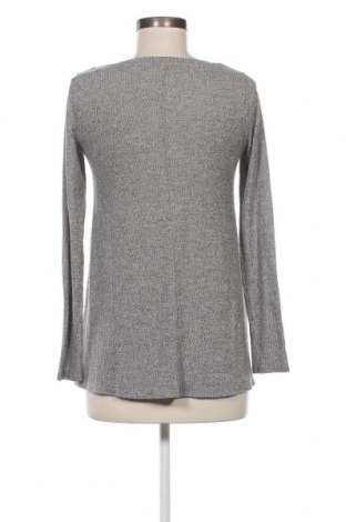 Damen Shirt Hollister, Größe S, Farbe Grau, Preis € 4,73