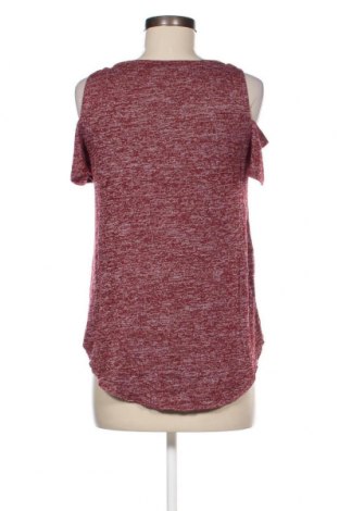 Damen Shirt Hollister, Größe S, Farbe Rot, Preis € 23,66