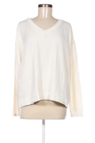 Γυναικεία μπλούζα Kate Storm, Μέγεθος XL, Χρώμα Εκρού, Τιμή 9,46 €