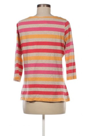 Γυναικεία μπλούζα Laura T., Μέγεθος L, Χρώμα Πολύχρωμο, Τιμή 5,40 €