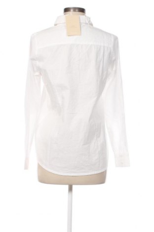 Γυναικεία μπλούζα Mamalicious, Μέγεθος XL, Χρώμα Λευκό, Τιμή 14,38 €
