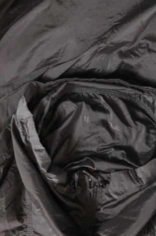 Damen Shirt Massimo Dutti, Größe S, Farbe Grau, Preis 29,62 €