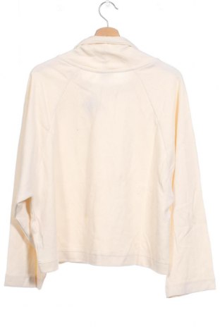 Γυναικεία μπλούζα Massimo Dutti, Μέγεθος XS, Χρώμα Εκρού, Τιμή 13,50 €