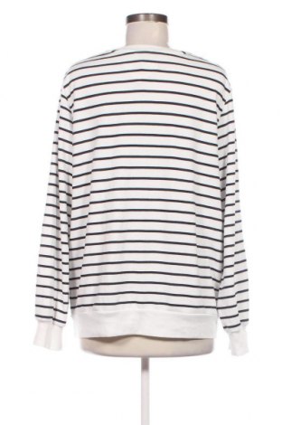 Damen Shirt Ms Mode, Größe L, Farbe Mehrfarbig, Preis € 13,22