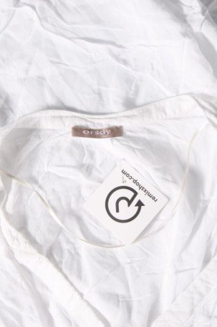 Γυναικεία μπλούζα Orsay, Μέγεθος XL, Χρώμα Λευκό, Τιμή 6,00 €