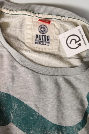 Γυναικεία μπλούζα PUMA, Μέγεθος L, Χρώμα Γκρί, Τιμή 8,41 €