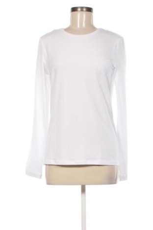 Damen Shirt Pieces, Größe L, Farbe Weiß, Preis 11,86 €