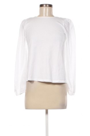Damen Shirt Rich & Royal, Größe XS, Farbe Weiß, Preis 33,40 €