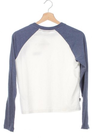 Damen Shirt Superdry, Größe M, Farbe Mehrfarbig, Preis 18,04 €