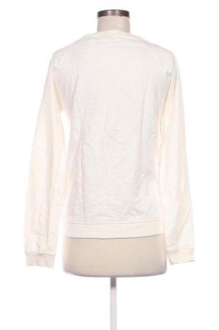 Damen Shirt Terre Bleue, Größe M, Farbe Weiß, Preis 11,02 €