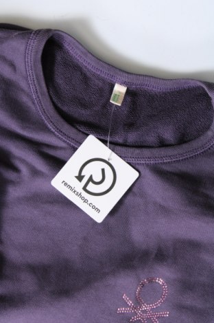 Damen Shirt United Colors Of Benetton, Größe M, Farbe Lila, Preis € 10,20