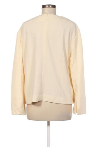 Γυναικεία μπλούζα Warehouse, Μέγεθος L, Χρώμα Εκρού, Τιμή 13,89 €