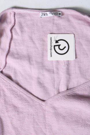 Damen Shirt Zara, Größe S, Farbe Lila, Preis 5,83 €