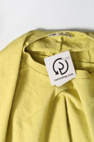 Damen Shirt Zara, Größe L, Farbe Grün, Preis 10,00 €