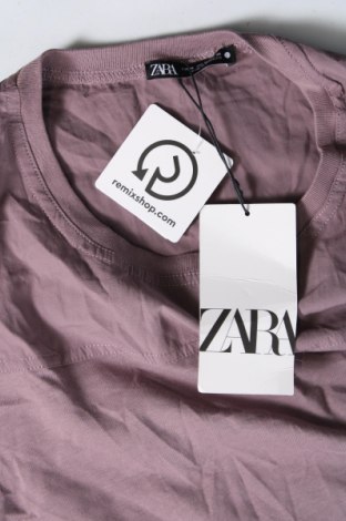 Damen Shirt Zara, Größe M, Farbe Lila, Preis 31,71 €