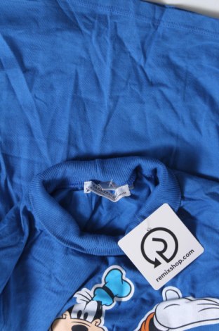 Γυναικεία μπλούζα Zara Trafaluc, Μέγεθος M, Χρώμα Μπλέ, Τιμή 10,23 €