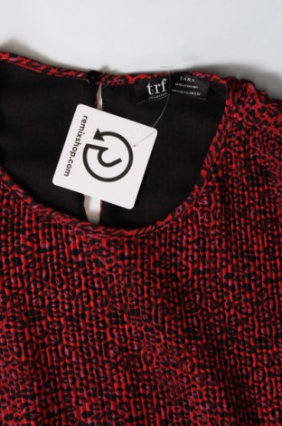 Damen Shirt Zara Trafaluc, Größe XL, Farbe Mehrfarbig, Preis € 9,40