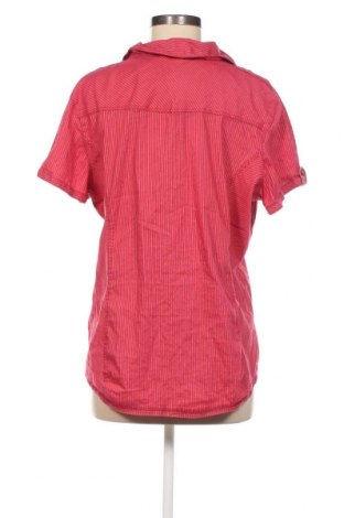 Damenbluse Cecil, Größe XL, Farbe Rosa, Preis 17,38 €