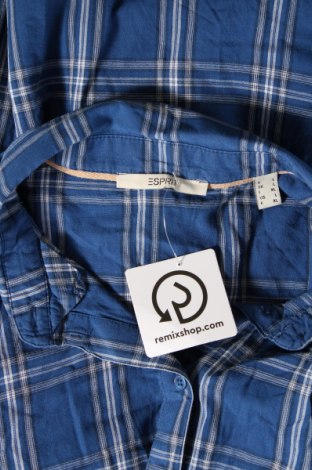 Damenbluse Esprit, Größe L, Farbe Blau, Preis € 4,49