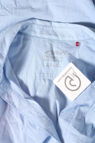 Дамска риза Esprit, Размер XL, Цвят Син, Цена 34,00 лв.