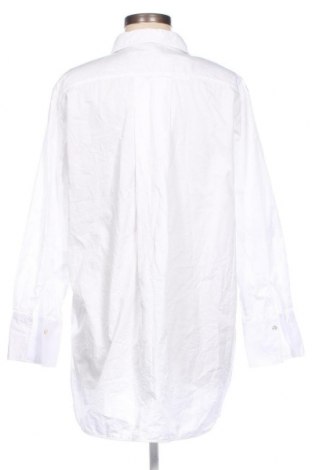 Damenbluse Massimo Dutti, Größe L, Farbe Weiß, Preis € 24,55