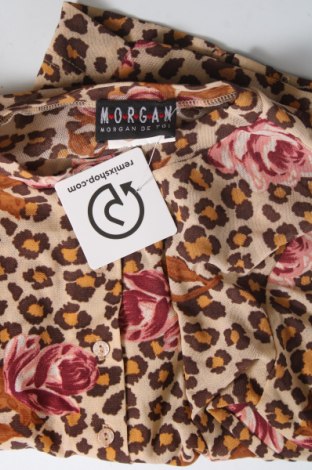 Damenbluse Morgan, Größe XXS, Farbe Mehrfarbig, Preis € 9,39