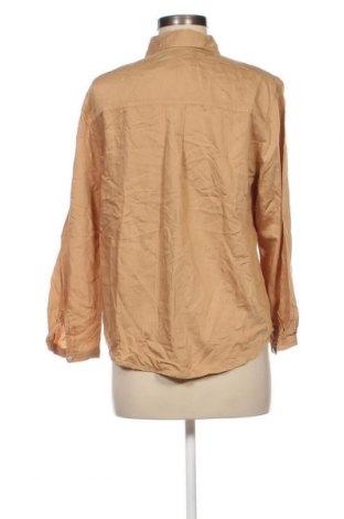 Damenbluse Primark, Größe XS, Farbe Beige, Preis € 17,40